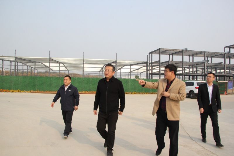 Liu Yu, member of the Standing Committee of the CPC Municipal Committee and vice mayor of the municipal government, visited Longgang Auto City