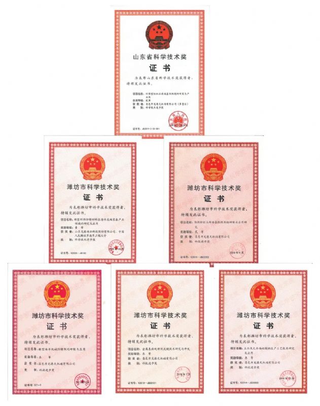 [good news] Longgang silicon Co., Ltd. won the first prize of Weifang Science and Technology Progress Award！