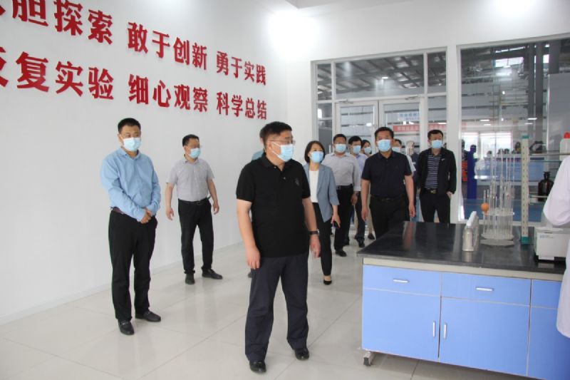 Leaders of the Provincial Oceanic Administration visited Longgang Silicon Industry Co., Ltd