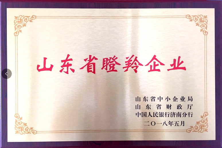 回首過(guò)去，不忘初心；展望未來(lái)，砥礪前行丨2019，龍港再出發(fā)！