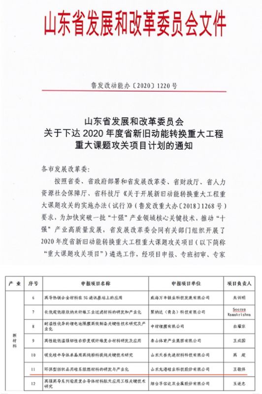 律回春暉漸 萬(wàn)象始更新—龍港阻燃材料入選省新材料創(chuàng  )新應用示范項目！