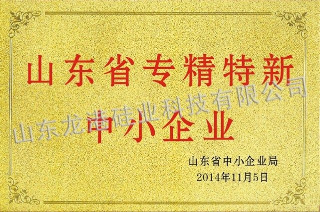 山東省專(zhuān)精特新中小企業(yè)